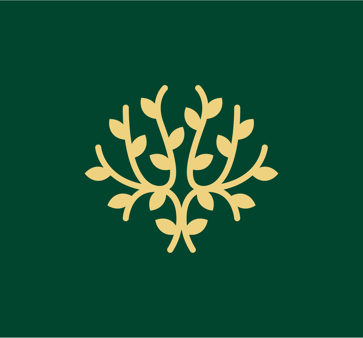 Bioenergy Reforestation Partners